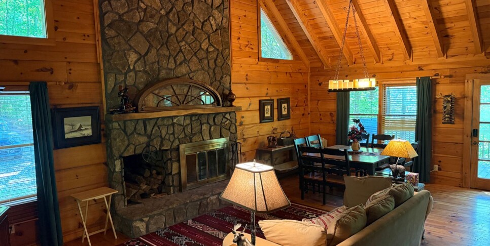 Blue Ridge - Chestnut Bearcation - Temp Photos