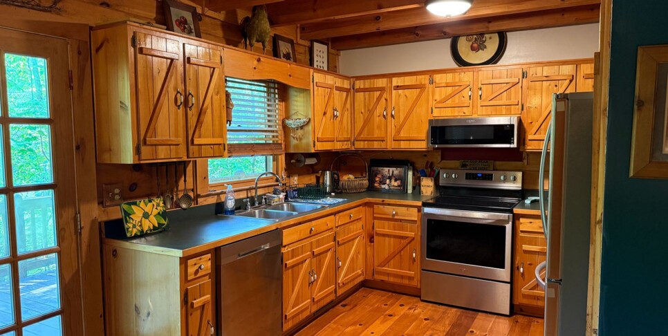 Blue Ridge - Chestnut Bearcation - Temp Photos