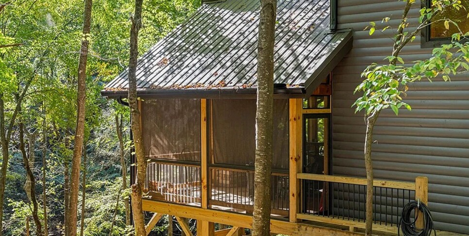 Blue Ridge - The Goathouse - Temp Photos