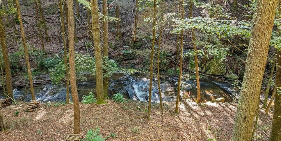 Blue Ridge - The Goathouse - Temp Photos
