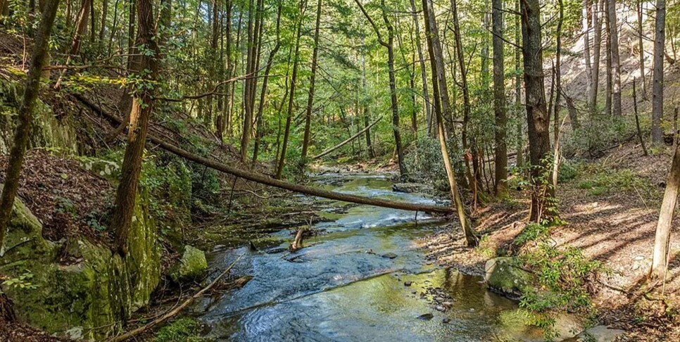 Blue Ridge - The Goathouse - Temp Photos