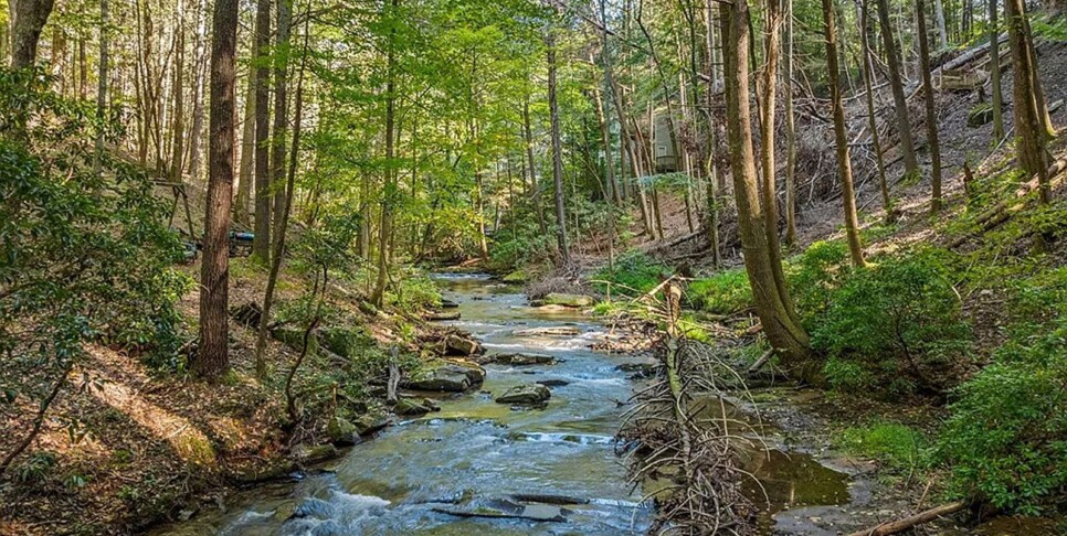 Blue Ridge - The Goathouse - Temp Photos