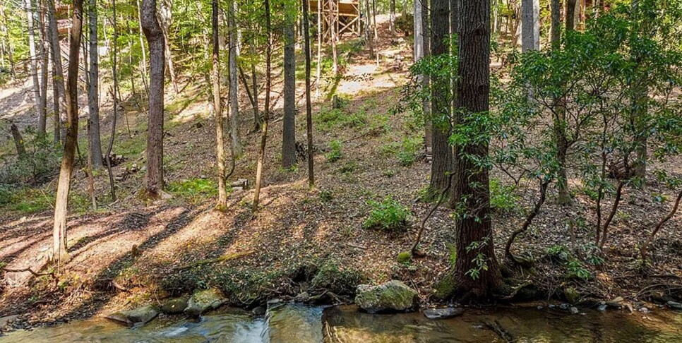 Blue Ridge - The Goathouse - Temp Photos