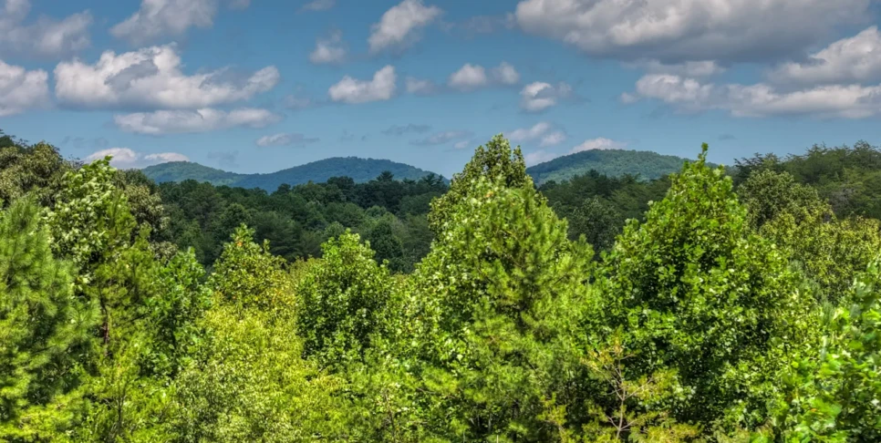 Blue Ridge Retreat On Wolf Creek Exterior