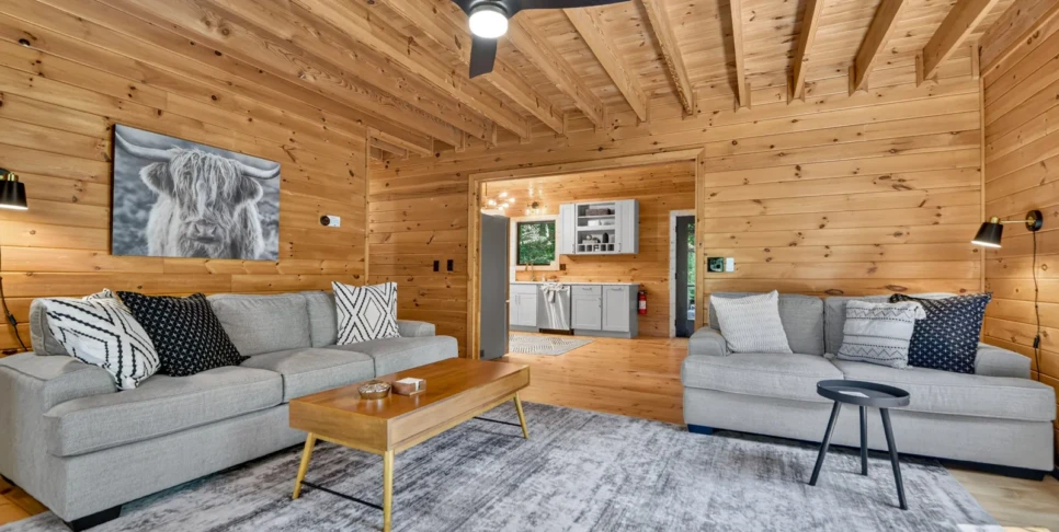 Blue Ridge Hothouse Creek Retreat Living Room
