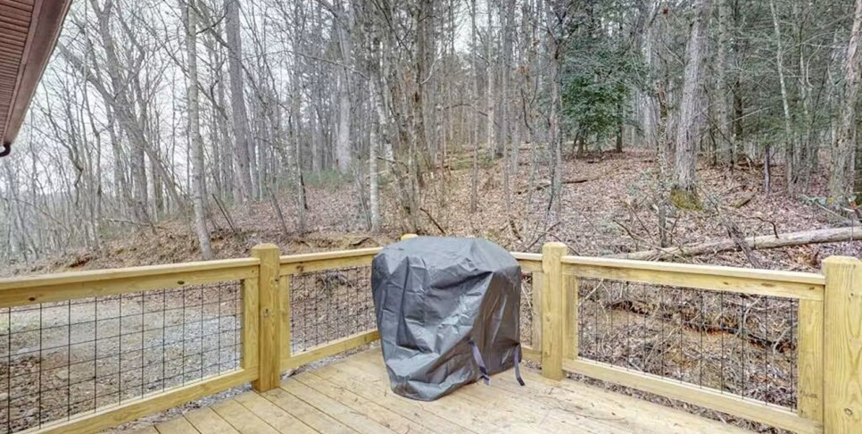 Blue Ridge - Hothouse Creek Retreat - Temp Photos