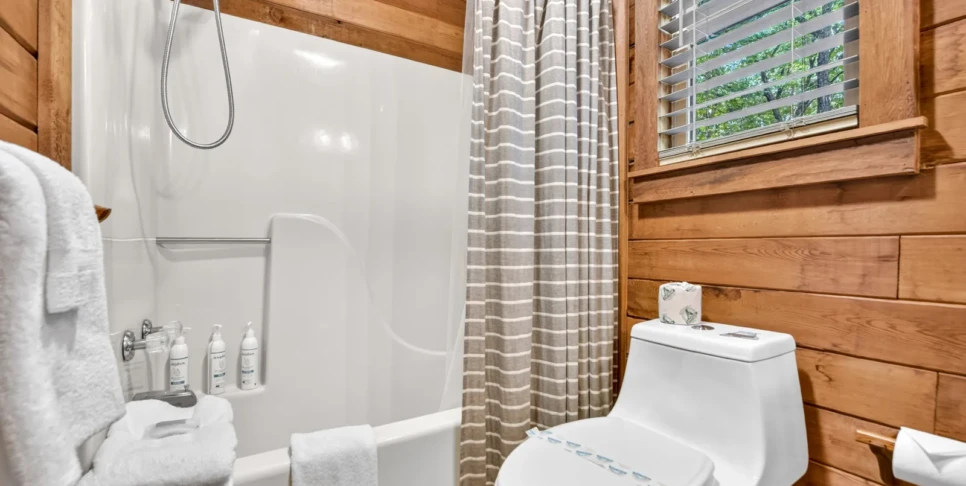 Blue Ridge Piney Mountain Perch Bathroom