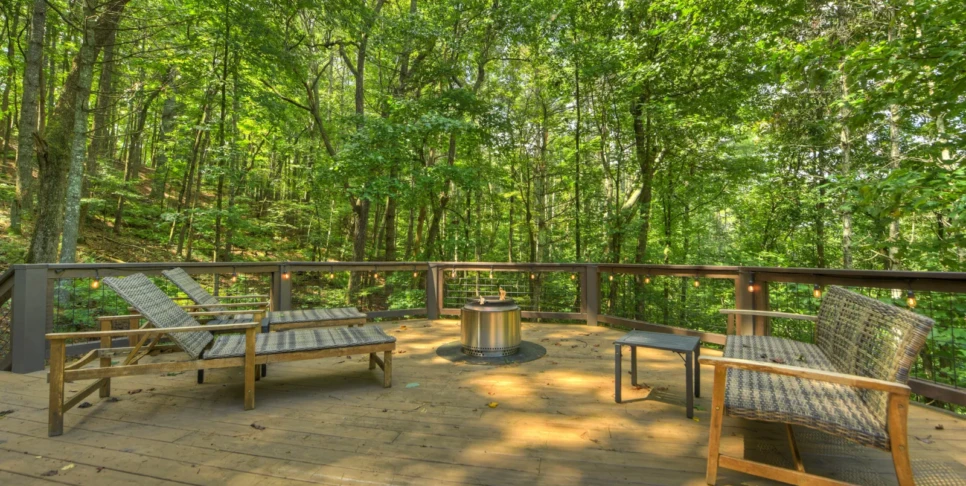 Blue Ridge Piney Mountain Perch Exterior