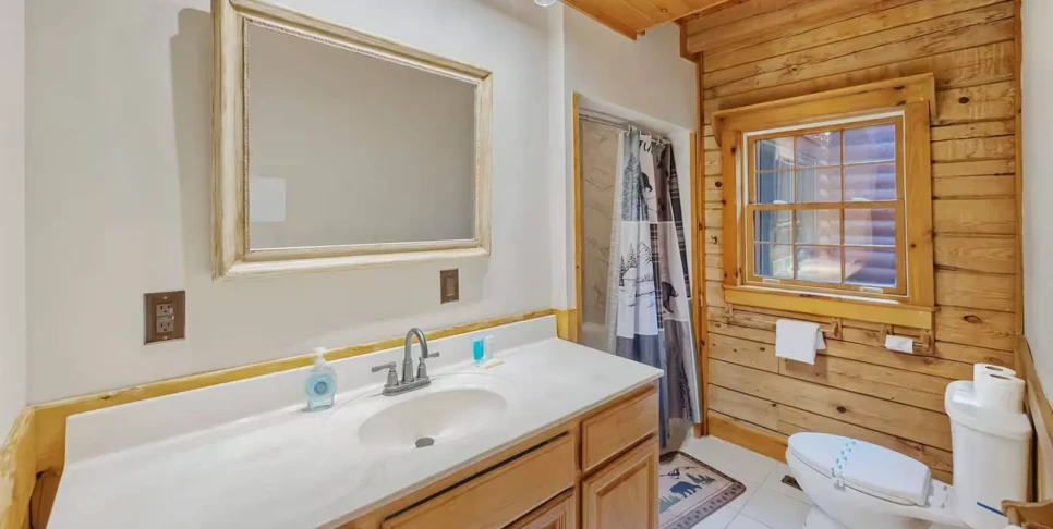Ellijay - The Lodge - Temp Photos